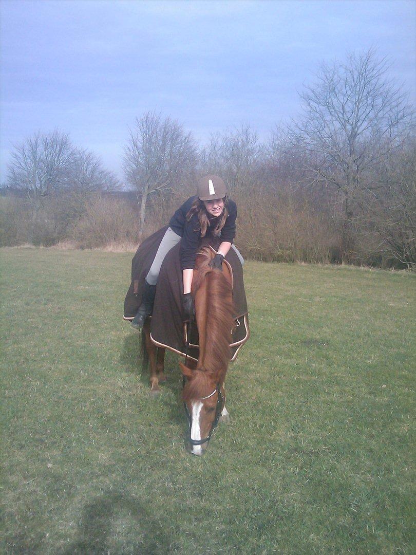 Anden særlig race Power *savnet* billede 13