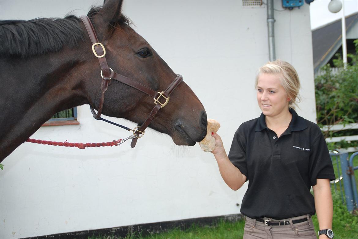 Oldenborg Gunnihus Nino billede 4