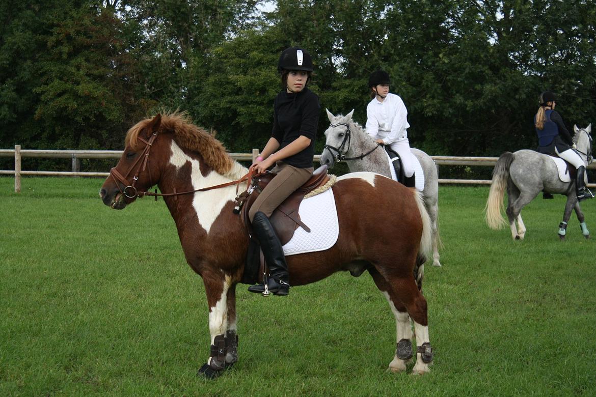 Anden særlig race Flamme *.. Bølle pony!<3 (Solgt) ;'(<3 - haha flamme og mig tag jer ikke af mig :-D<3
Foto: Mor billede 7