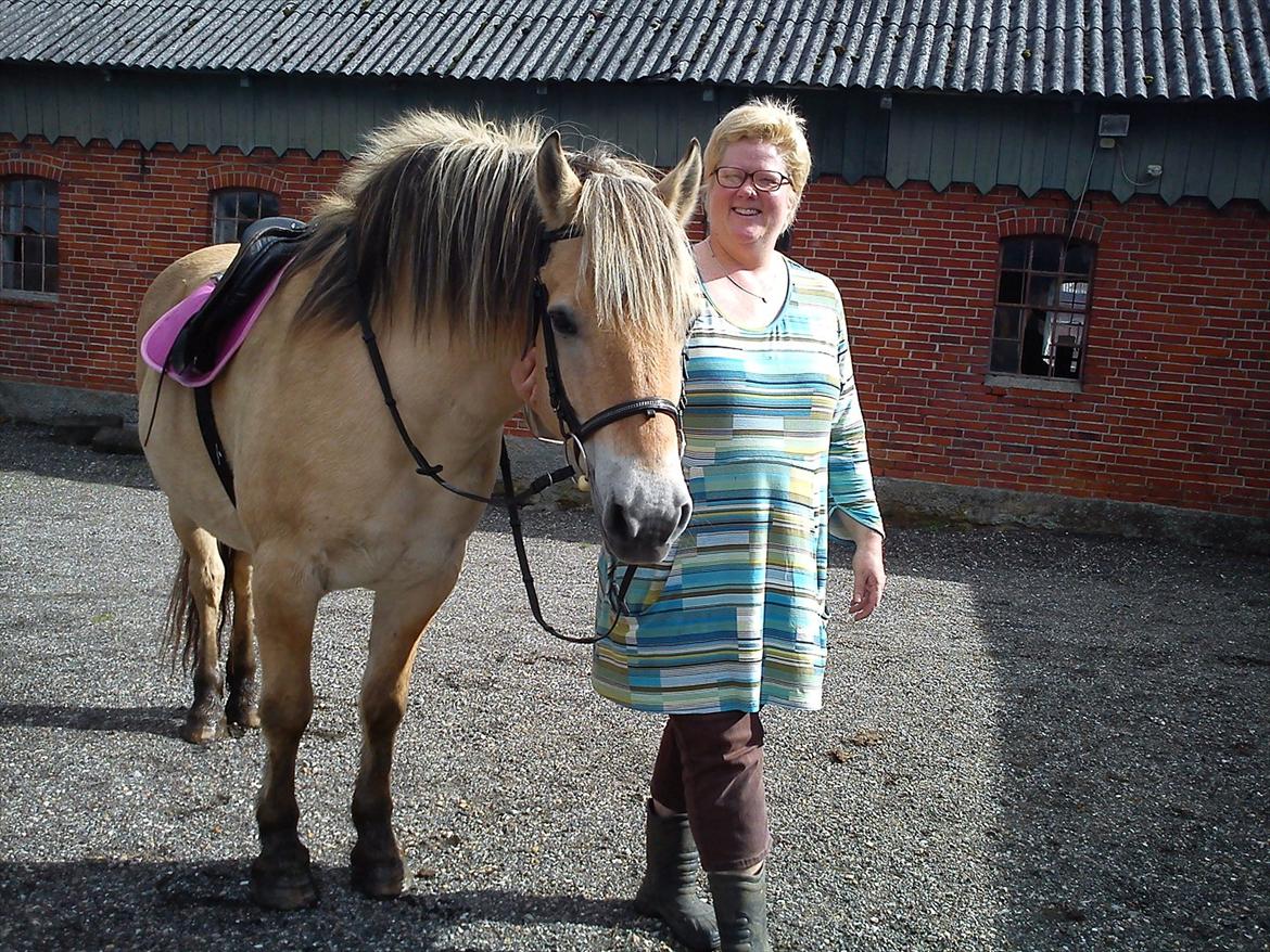 Fjordhest Arnold - Vi er nok ikke det mest elegante par, men vi passer godt sammen - lidt tunge i bagdelen begge to ;-) billede 1