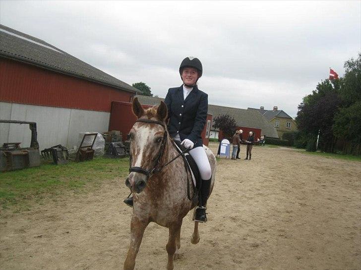 Anden særlig race Jolly Jumper - Mig og Jolly til stævne i EUR
Foto: Katarina Lassen billede 11