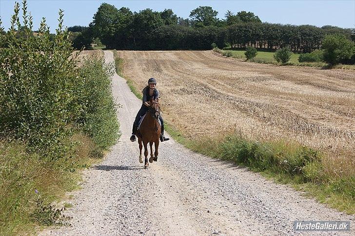 Anden særlig race Pasadena "tyksakken"<3. - De sidste dage, de sidste timer, de sidste minutter og de sdste sekunder<3.
Taget af: Sofie. billede 15