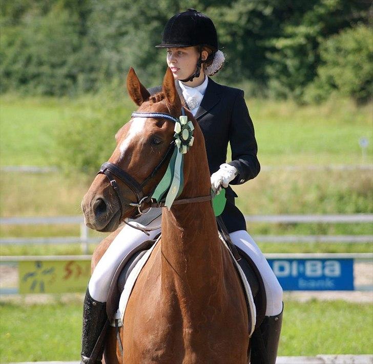 Oldenborg RYTTERGAARDENS PASCAL - August 2011: Klubmesterskaberne billede 9