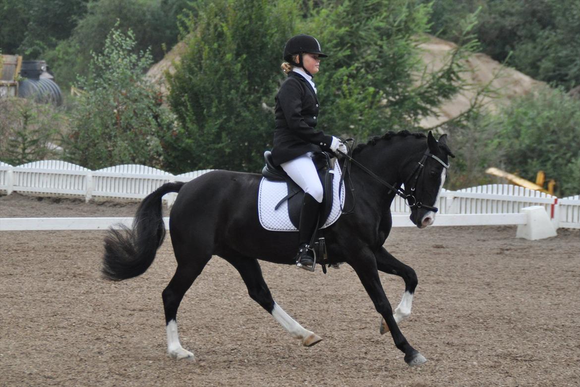 Anden særlig race Blue Eye´D Girl - A pony SOLGT! - 5. Mig og putte på banen til distriktmesterskab 2011 <3 billede 5