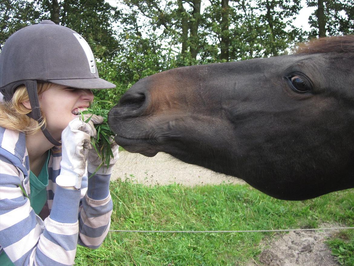 Traver Exposito Attack - D. 11-09-2011. billede 4