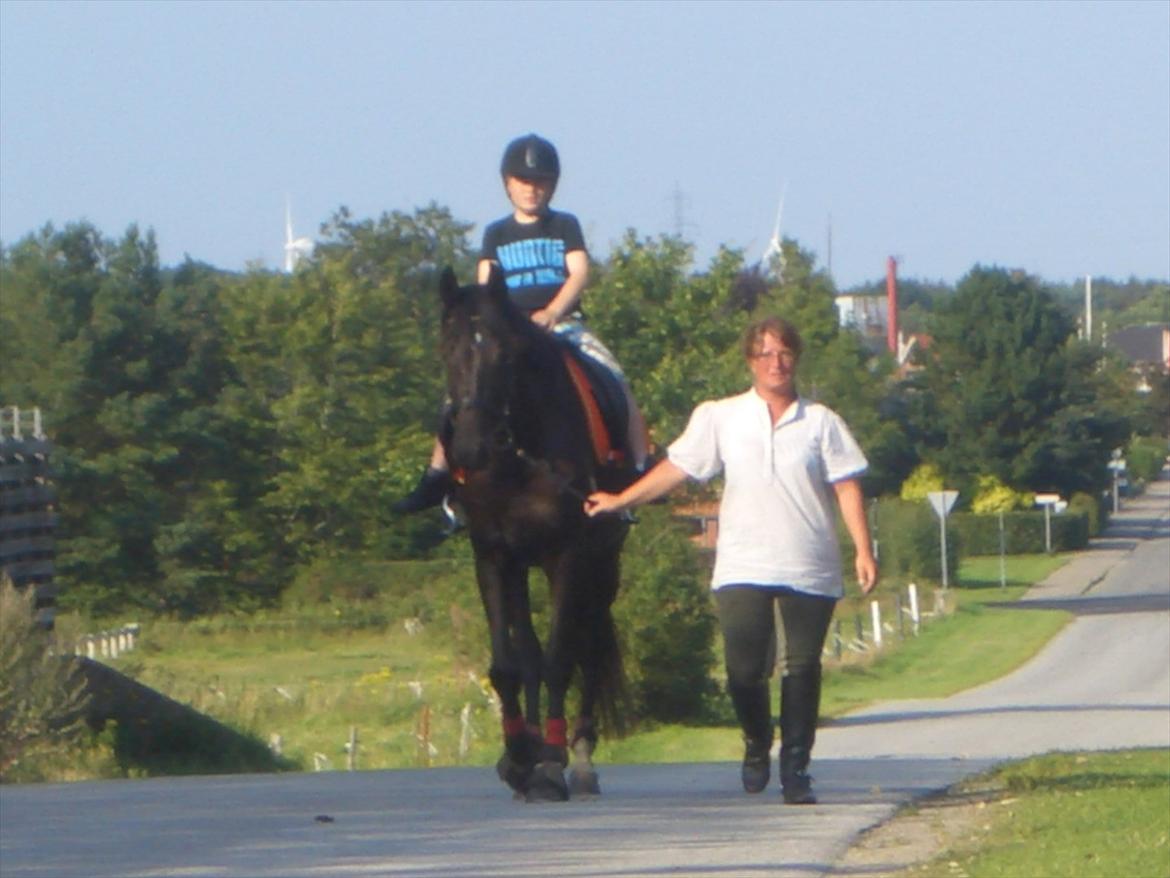 Trakehner Hot Latin Freestyle billede 8