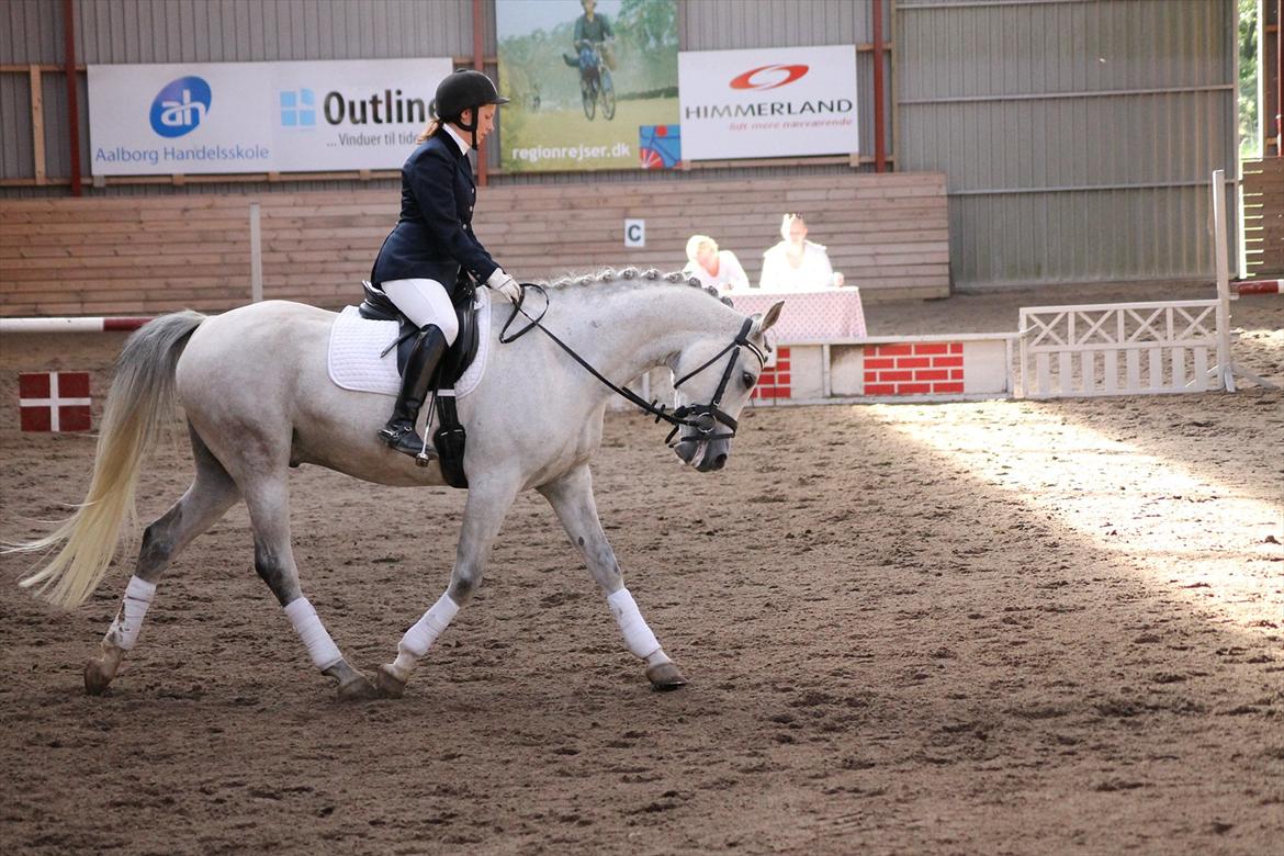 Anden særlig race El Gizmo - Skørping sep. 2011 billede 15
