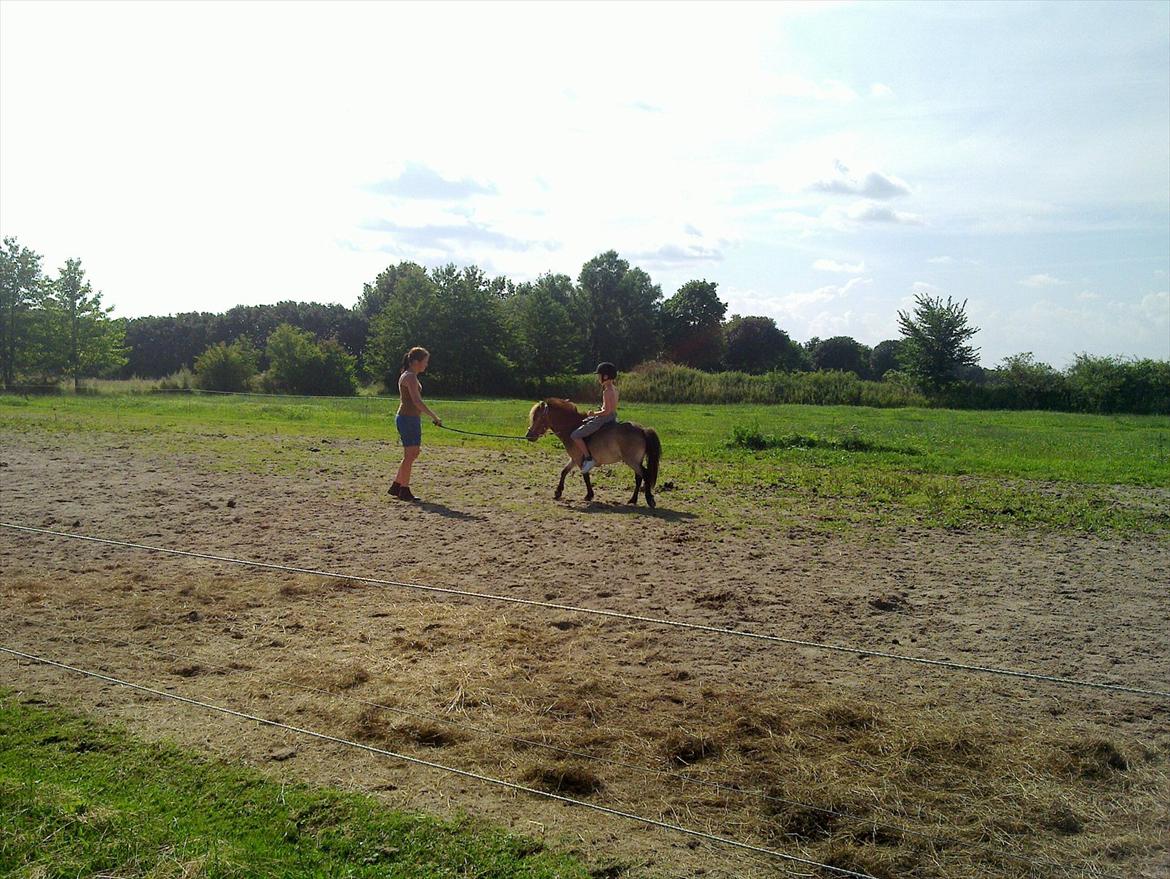 Anden særlig race Herkules billede 3