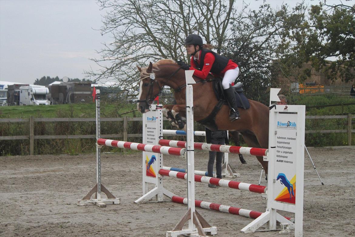 Anden særlig race SAKSKÆRS COMET II - Why can't you just hold me? And how come it is so hard? billede 4