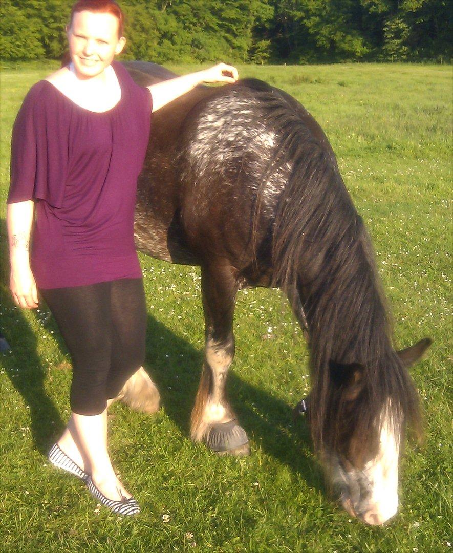 Tinker Lehmanns Ozzie <3  billede 18