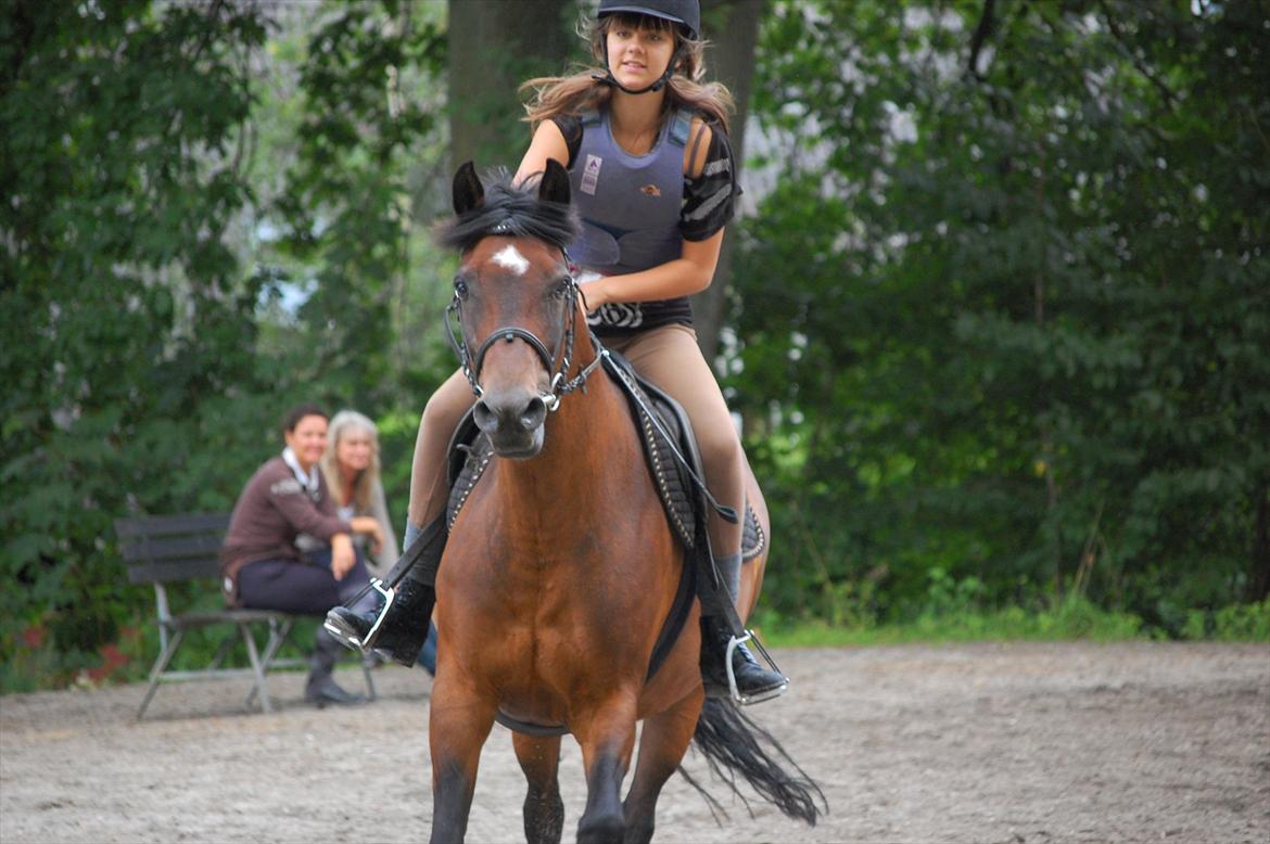 New Forest Moonlight    (rider) - Glad pony til spring:)) billede 18