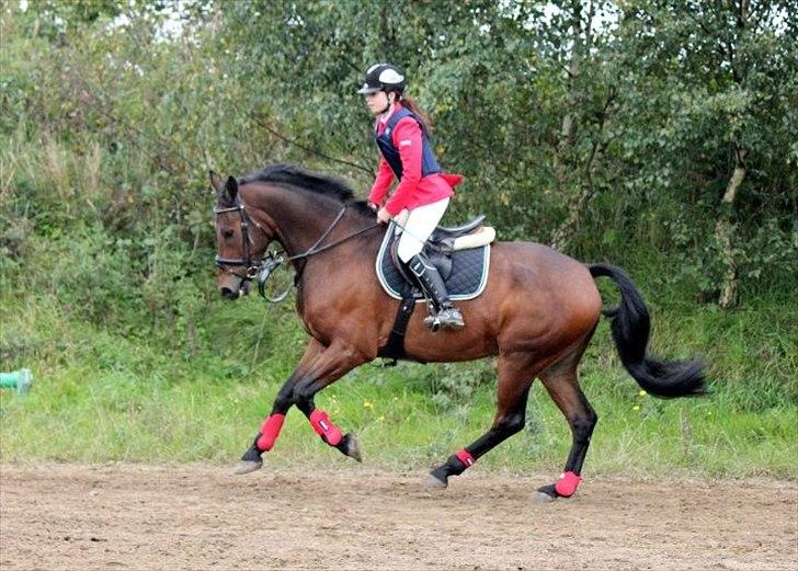 Anden særlig race Aske Rugholm  - Velkommen til Akses profil Kig dig omkring :-)).. billede 1