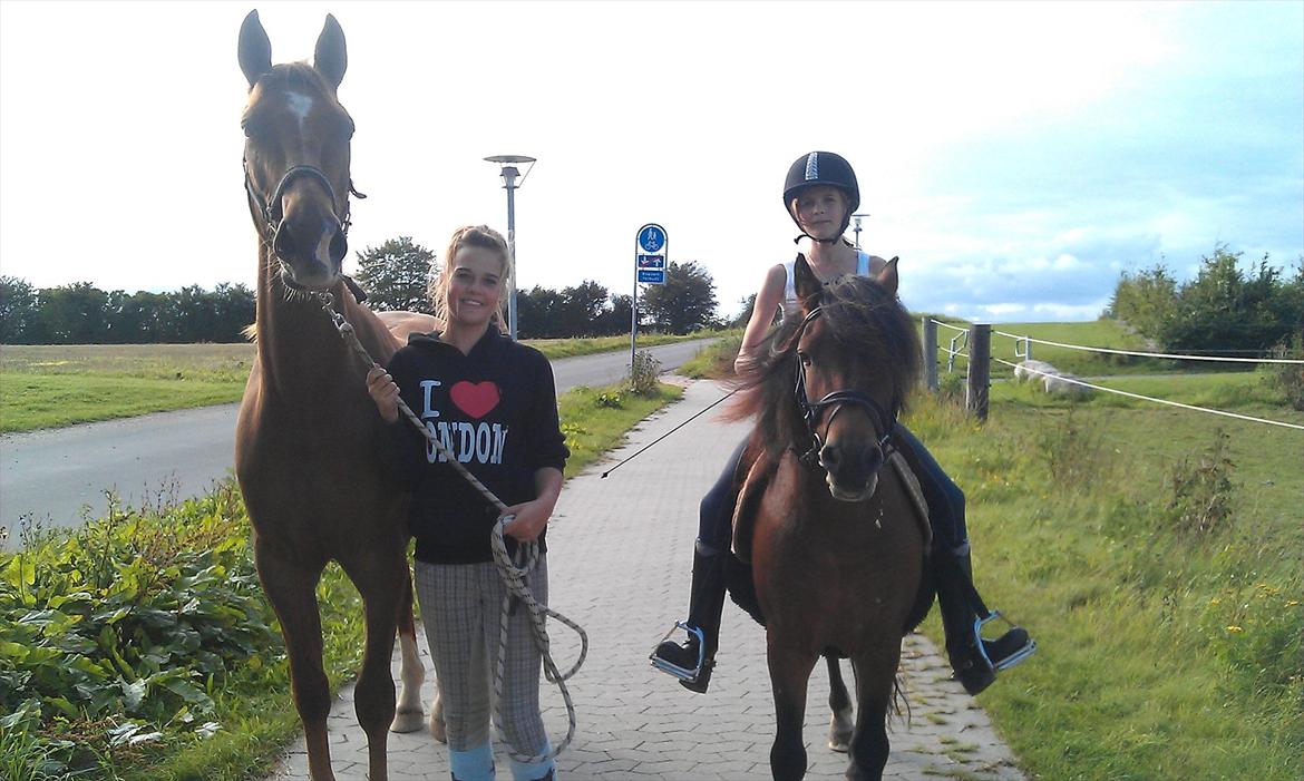 Anden særlig race My Wild Star - Min dejlige dreng :-) - En lille tur rundt om foldene med Amalie og Laban :-). billede 2