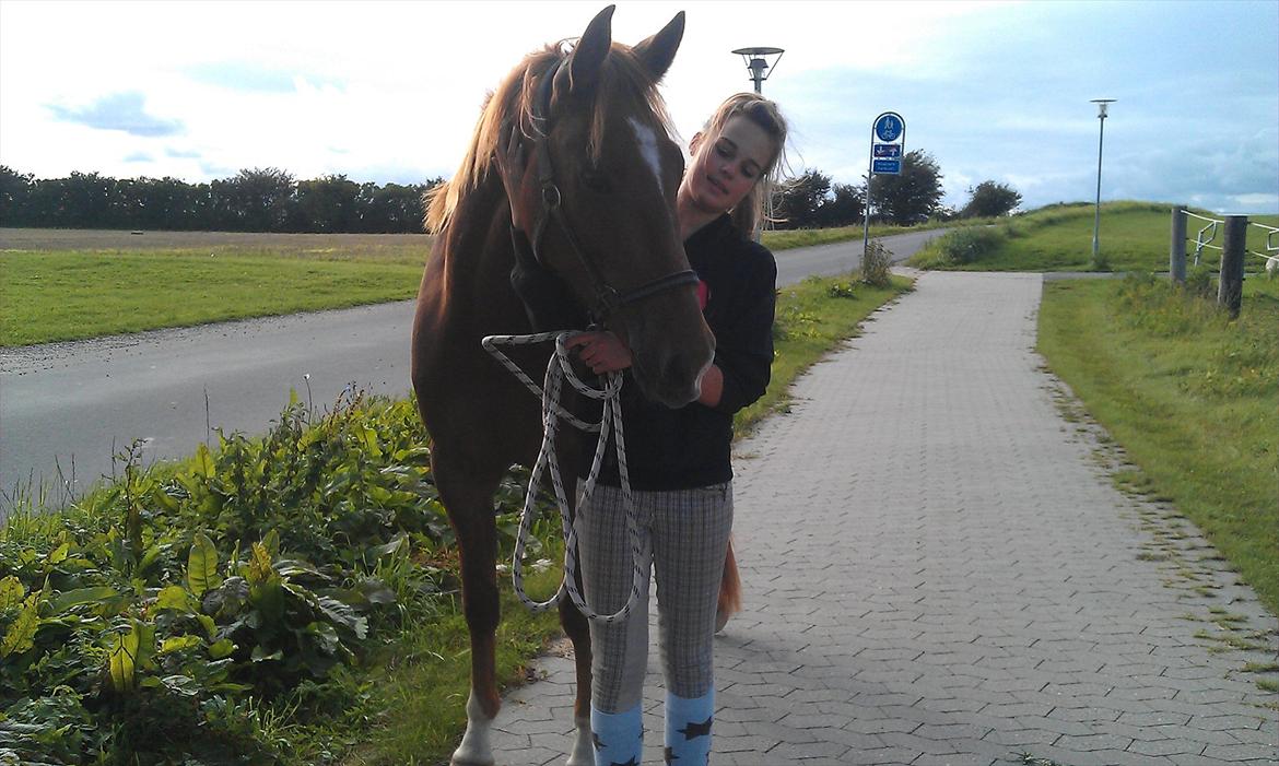 Anden særlig race My Wild Star - Min dejlige dreng :-) - Min kærlighed til dig vil aldrig forsvinde! :-). billede 5