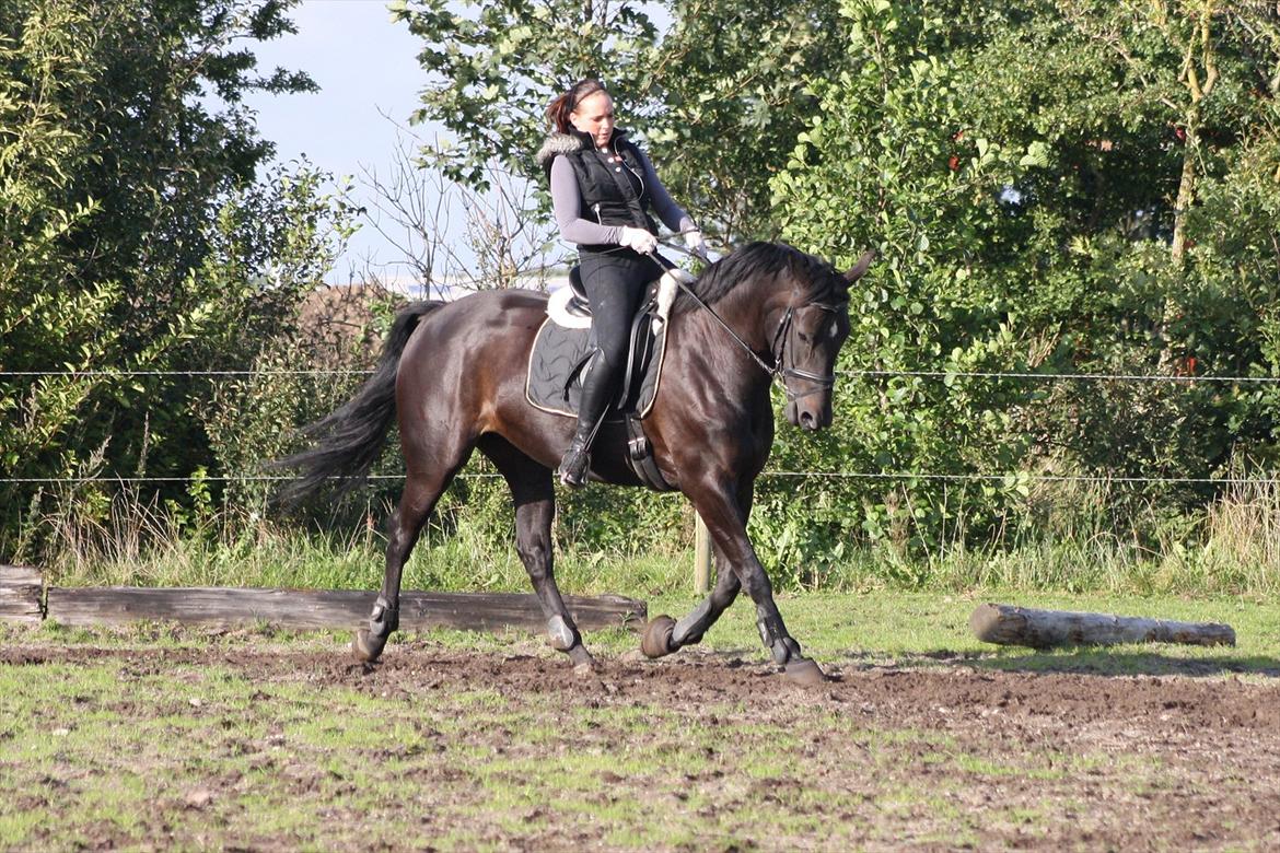 Oldenborg Maybe  - Aug 2011 billede 15