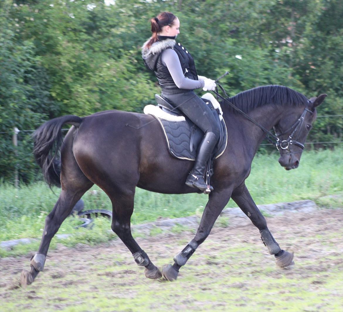 Oldenborg Maybe  - Aug 2011 billede 16