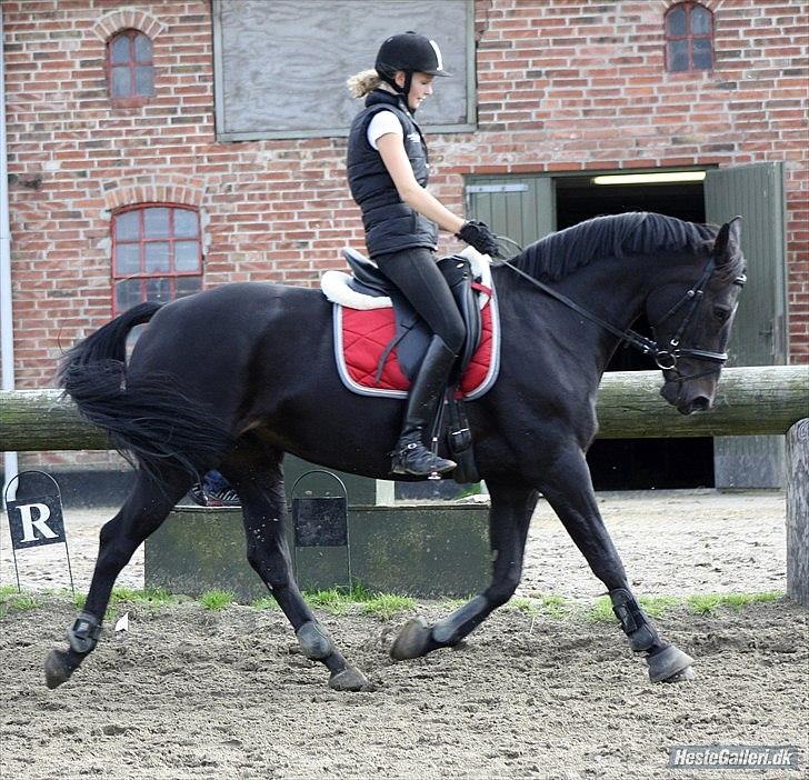 Oldenborg Maybe  - Sep. 2011. Caroline :) billede 18