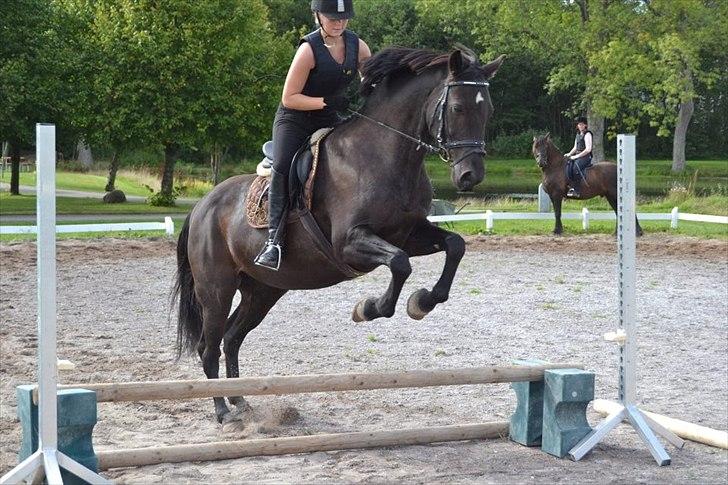 Anden særlig race Amigo - Mit eventyr - Seeeje bassemand :-D billede 8