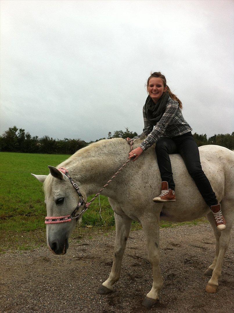 Anden særlig race Josephine billede 7
