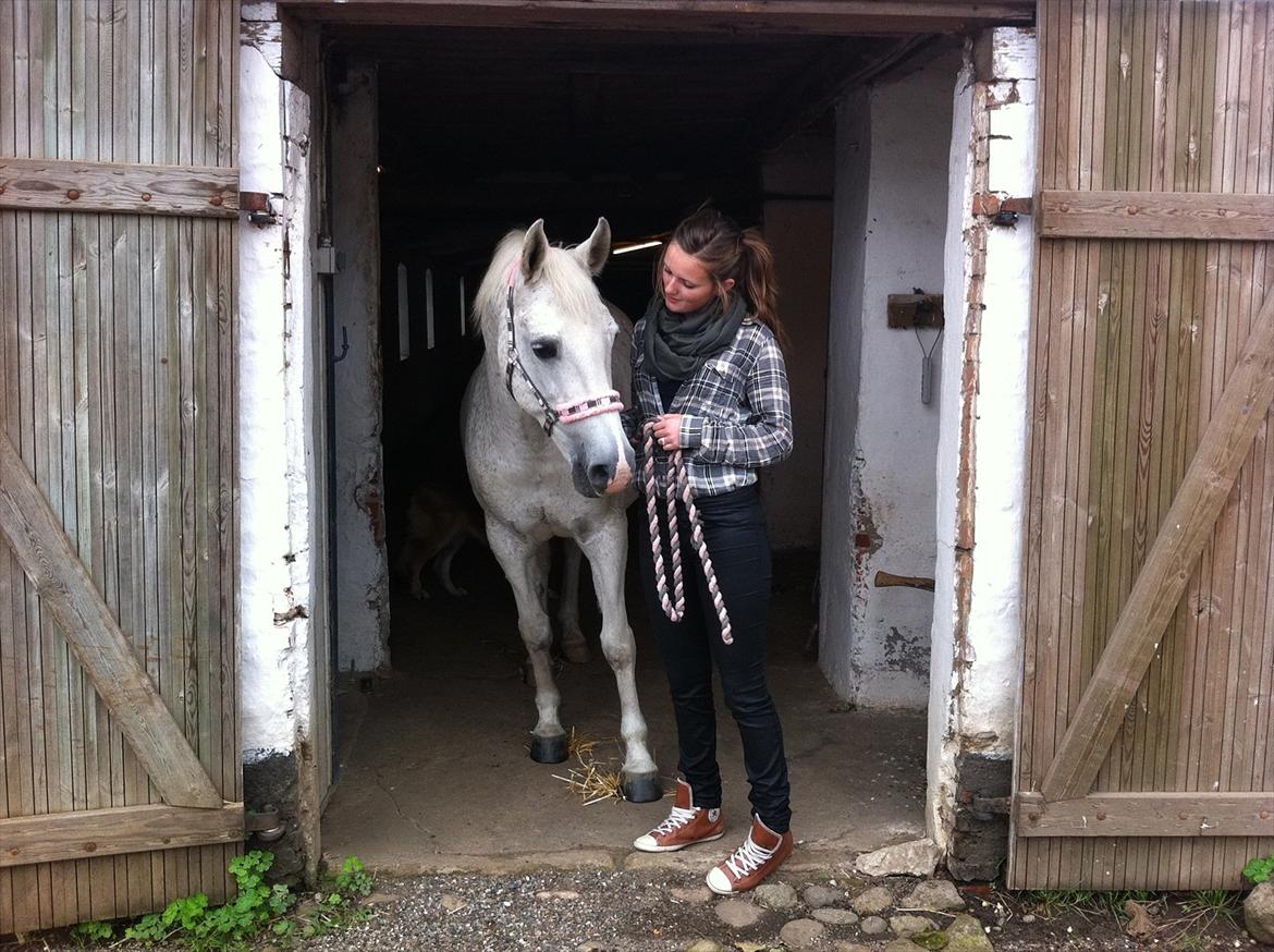 Anden særlig race Josephine billede 8