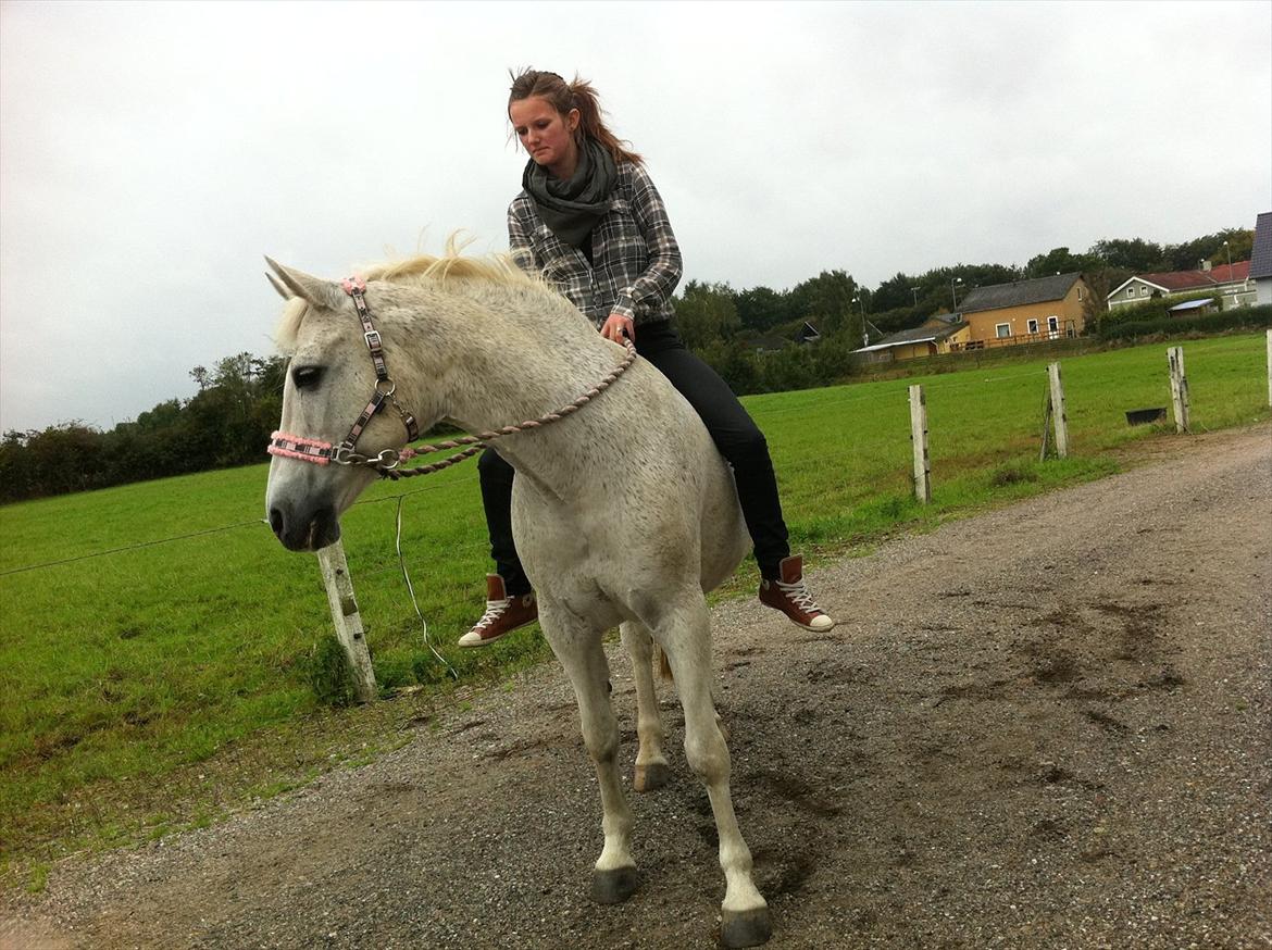 Anden særlig race Josephine billede 9