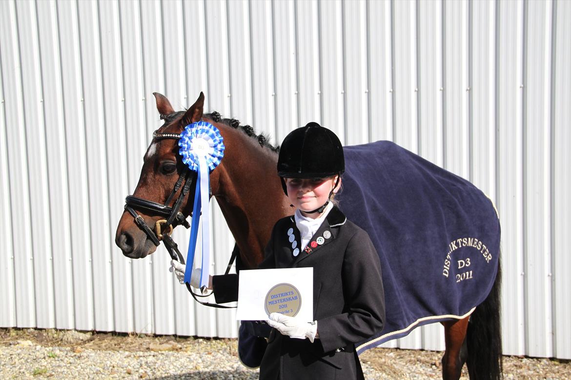 DSP Nørlunds Magic Boy - 2 pl. distriktsmesterskab pony dressur kat. 3 i D3 2011 billede 7