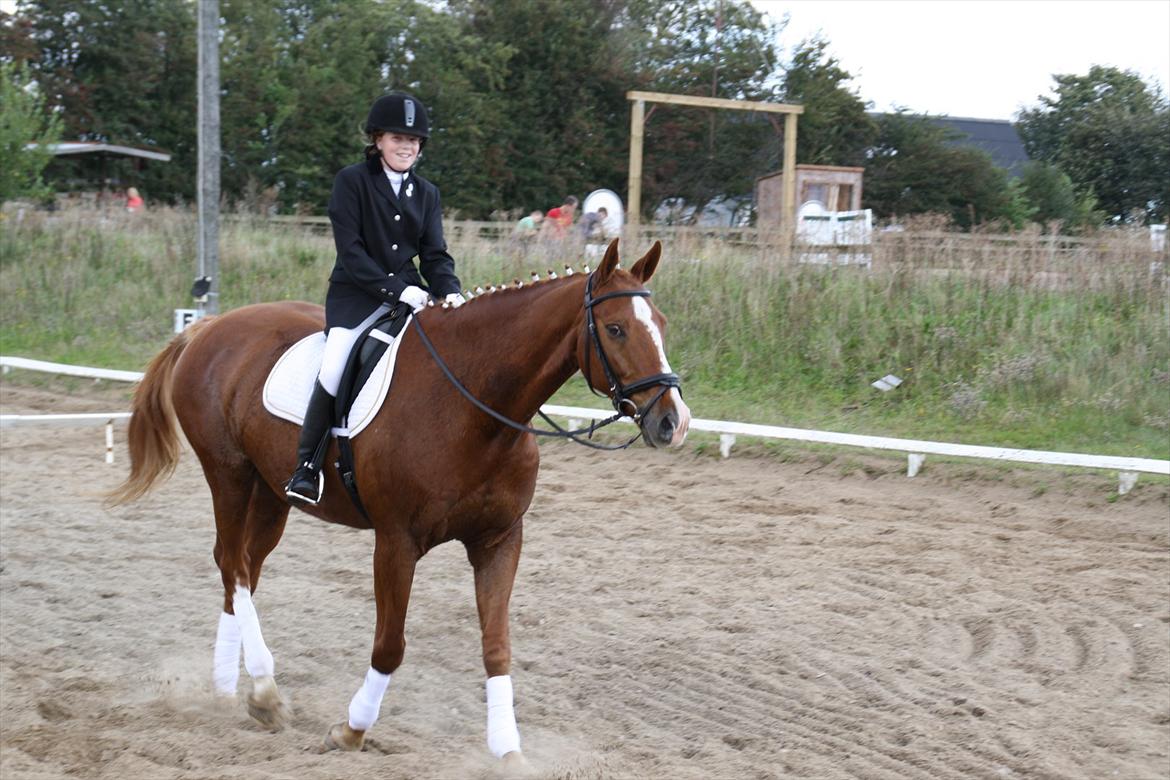 Dansk Varmblod Victor - Mig og Viggo til første stævne sammen! :D LD2 til 66,06 %

Efteråret 2011.

Foto: Bedstefar. billede 11
