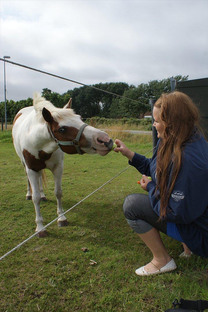 Pinto Candy  - GENSYN 2011 <3  billede 12
