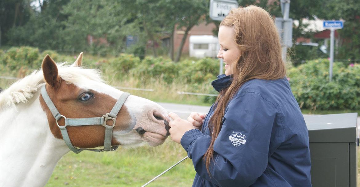 Pinto Candy  - GENSYN 2011 <3  billede 14