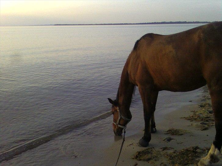 Traver Angel - aftentur billede 11