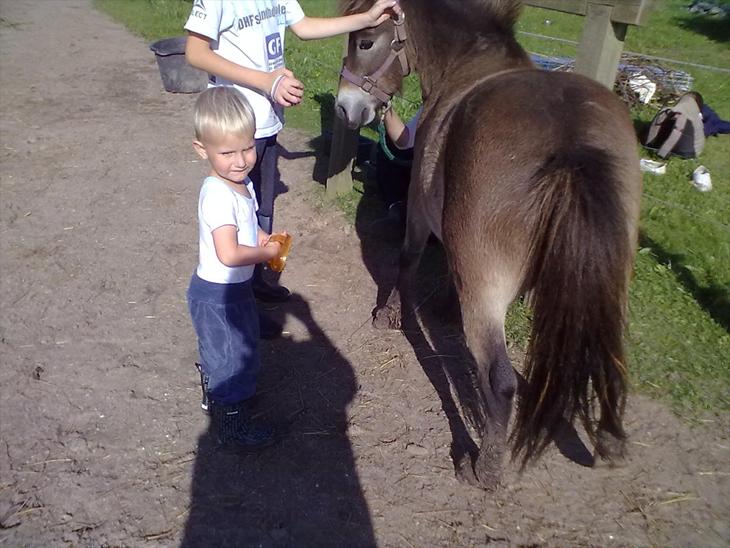 {{currentPhoto.altText}} billede {{currentPhoto.number}}