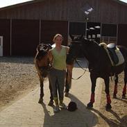 Anden særlig race  Miss Wendy <3 