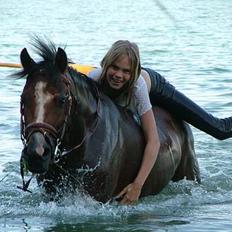 New Forest Oudelands Turbo