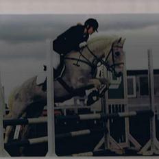 Anden særlig race Oliver*R.I.P -17/12 2007*