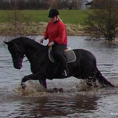Anden særlig race Miss Shakur
