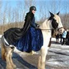 Tinker Lady Luna