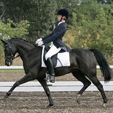 Anden særlig race Borneo 23- aflivet ;(