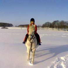 Sportsaraber (A) Sada R.I.P