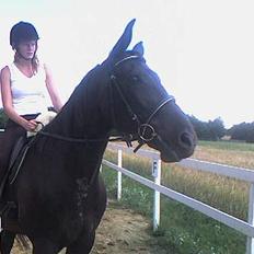 Oldenborg Patrik Bakke