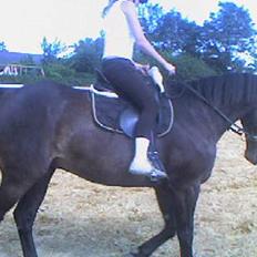 Oldenborg Patrik Bakke