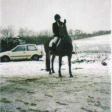 Anden særlig race Tasiba