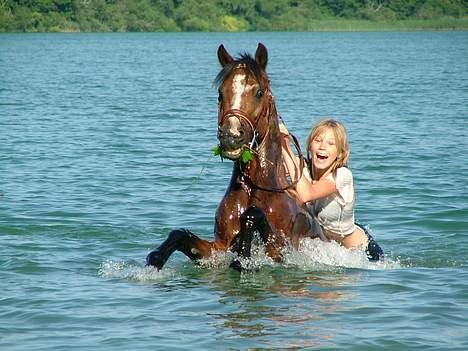 New Forest Oudelands Turbo - Hej :D Foto Marie Frederiksen billede 1