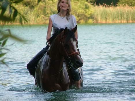 New Forest Oudelands Turbo - buresø, slangerup. Foto MF billede 2