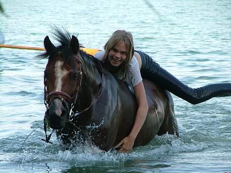 New Forest Oudelands Turbo - foto Marie Frederiksen billede 3