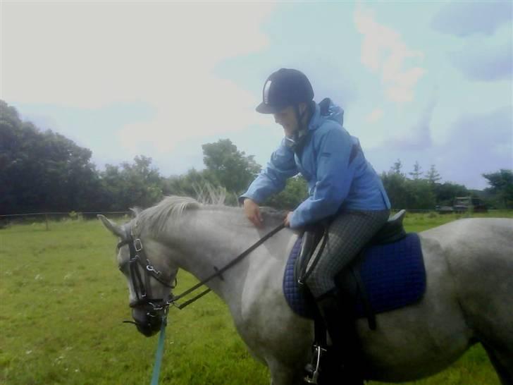 Shagya Araber (SH) <3 Sharabi <3 - billede fra 2. gang hun havde rytter på billede 16