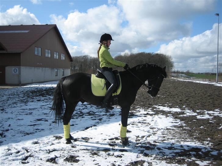 Anden særlig race Horse-Wear's Oktober - #NYT# parade - smukke oktober - først i april 2008 billede 13