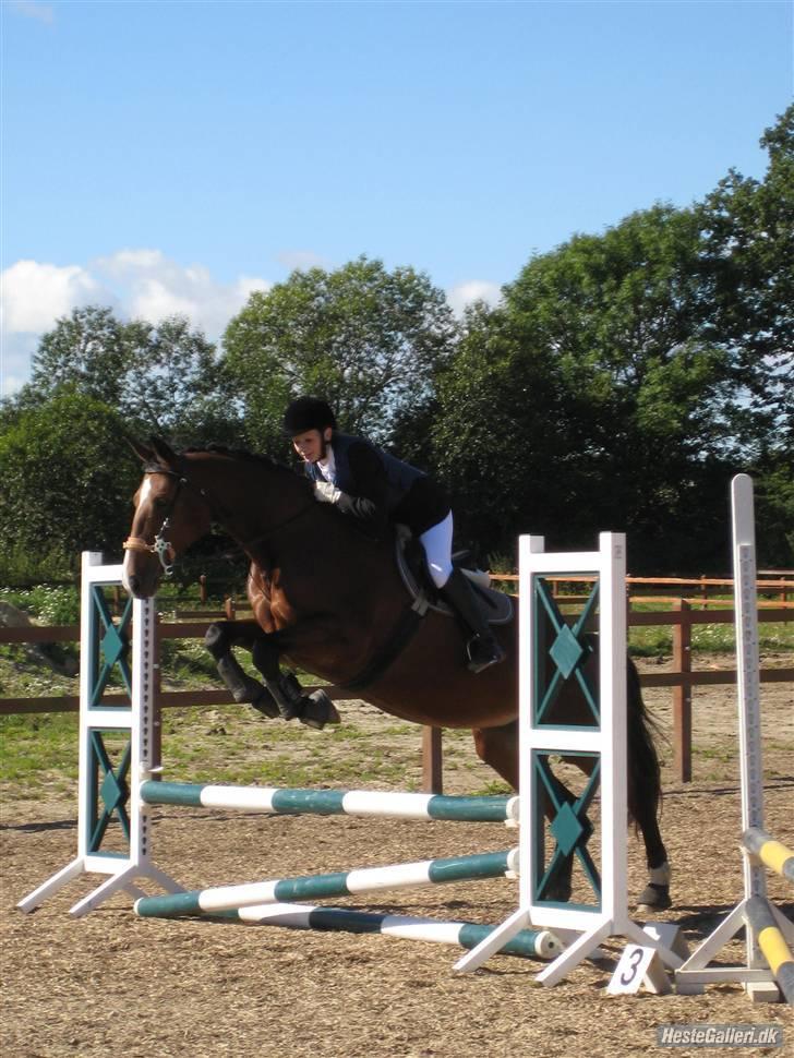 Oldenborg Fie <33 † - Første spring stævne. 2 gang hun prøvede at springe en bane. Og ALLER første gang hun sprang over 25-30 cm. Dygtige hest . Fik et stop i omspring. Hun blev bange for flaget ved start :p men vi blev nr. 2 :D <333 dygtige hest . Taget a Trine F m Lupin billede 13