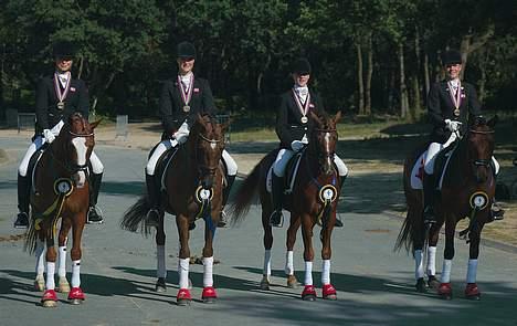 DSP Ferrari - Hvad er der at sige :D billede 4