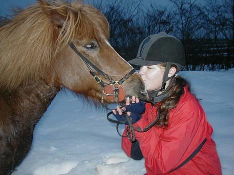 Islænder Sandra fra Gl.Essendrup SOLGT - Får et lille kys:P billede 6