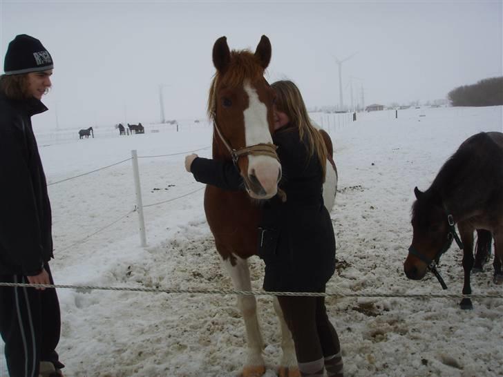 Pinto indi<33(solgt) - hvad skal man sige Indi laver det han er bedst til AT æde :b billede 15